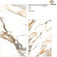 Delicatus Statuario - Poli